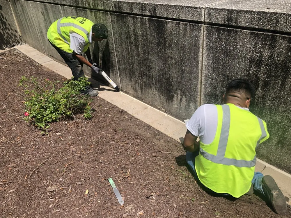 Local garden landscaping in Silver Spring, MD by J&D Landscaping Services