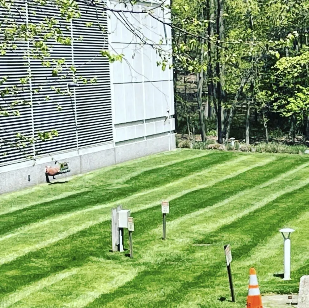 Custom landscape installation for year-round maintenance across Silver Spring, MD - J&D Landscaping Services