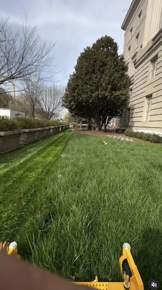 Expert yard maintenance experts serving Silver Spring, MD - J&D Landscaping Services