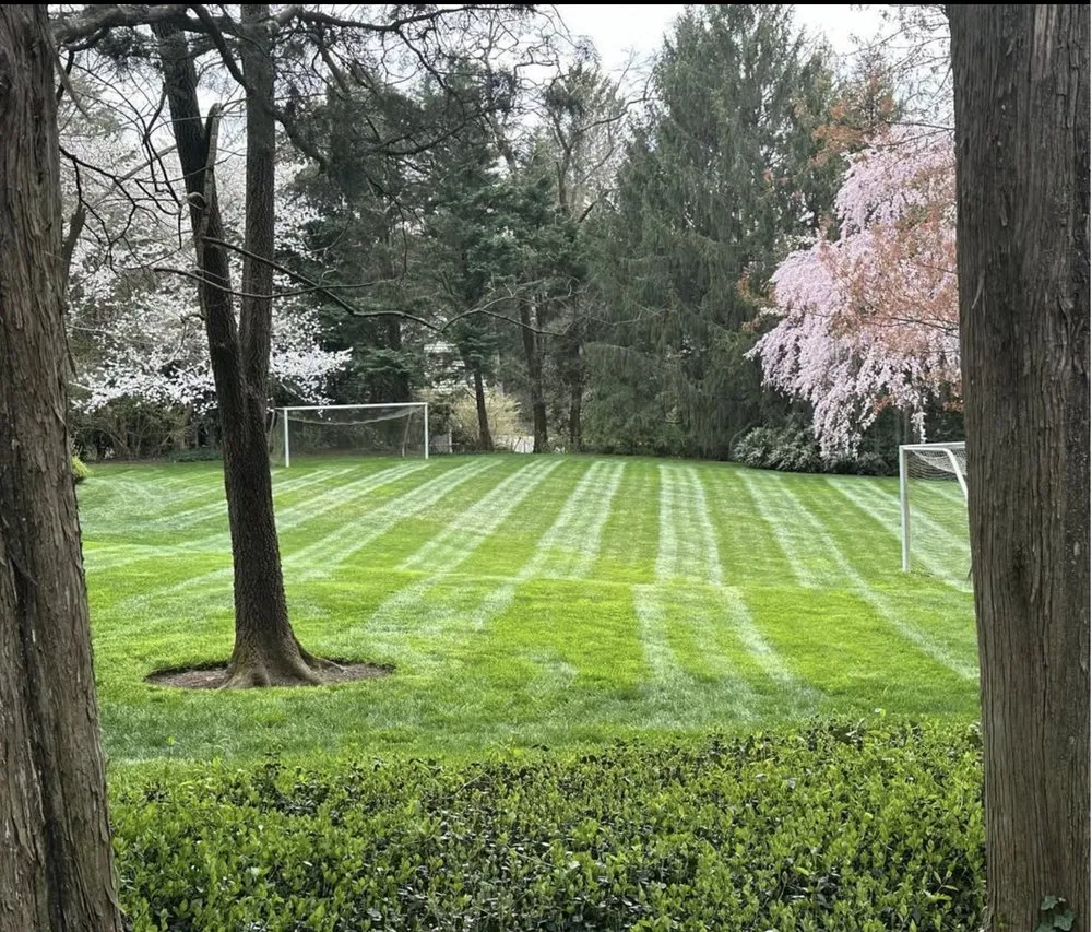 Top-rated landscape installation experts serving Silver Spring, MD - J&D Landscaping Services