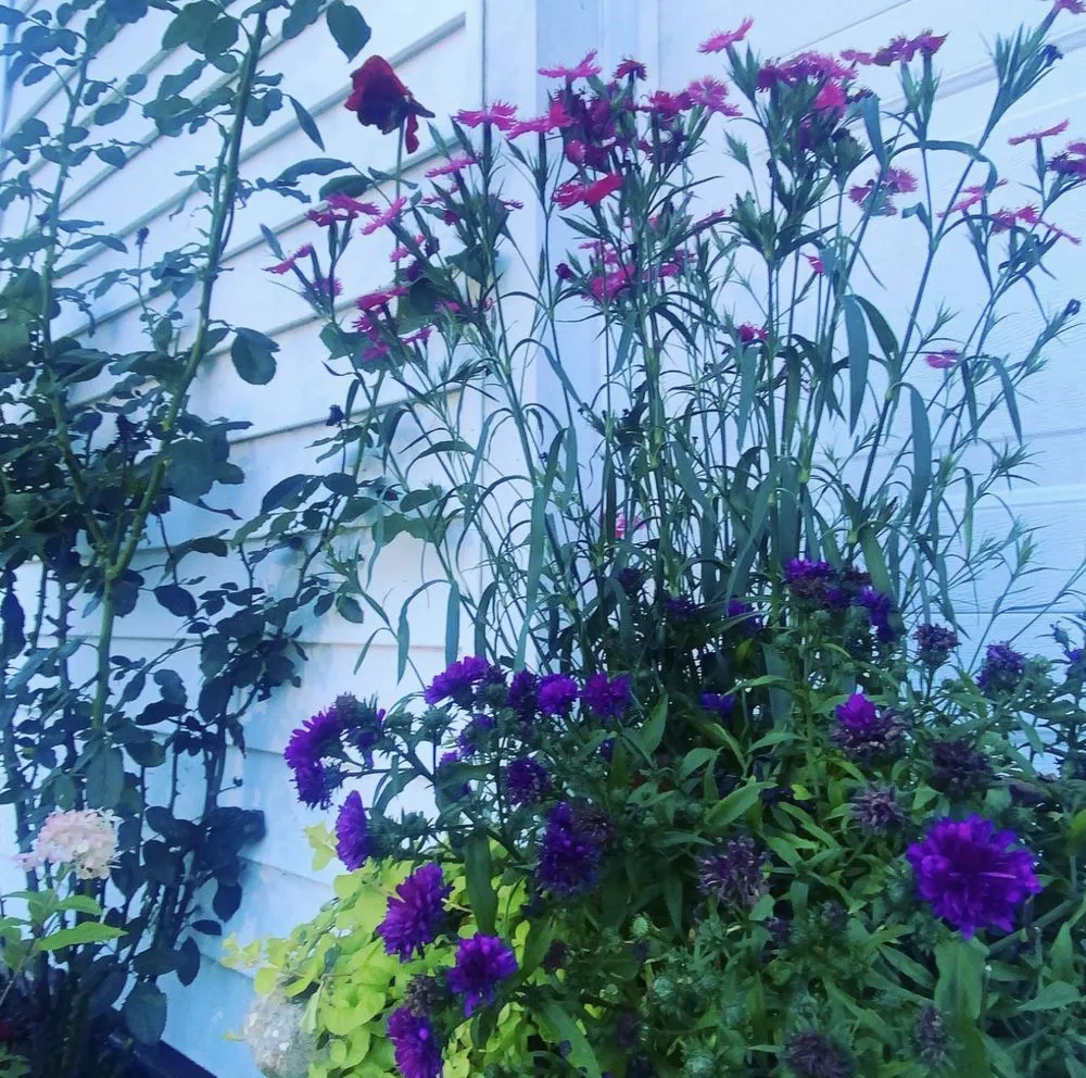 Expert lawn care service for homes in Silver Spring, MD by J&D Landscaping Services