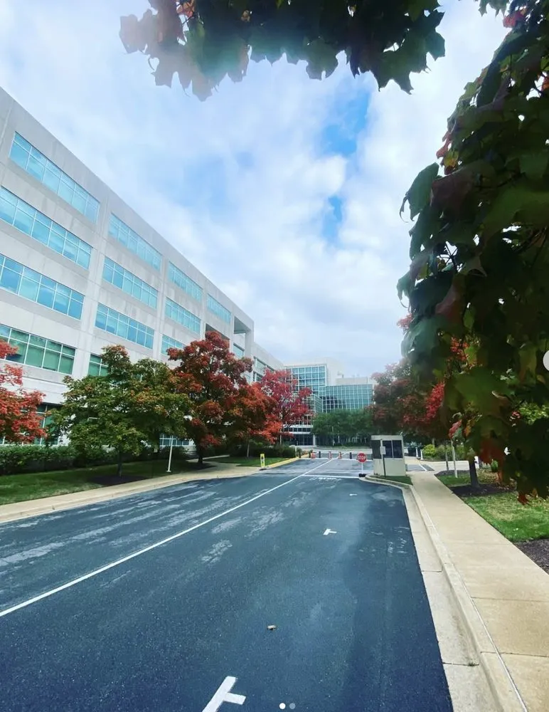 Top-rated landscape design in Silver Spring, MD by J&D Landscaping Services