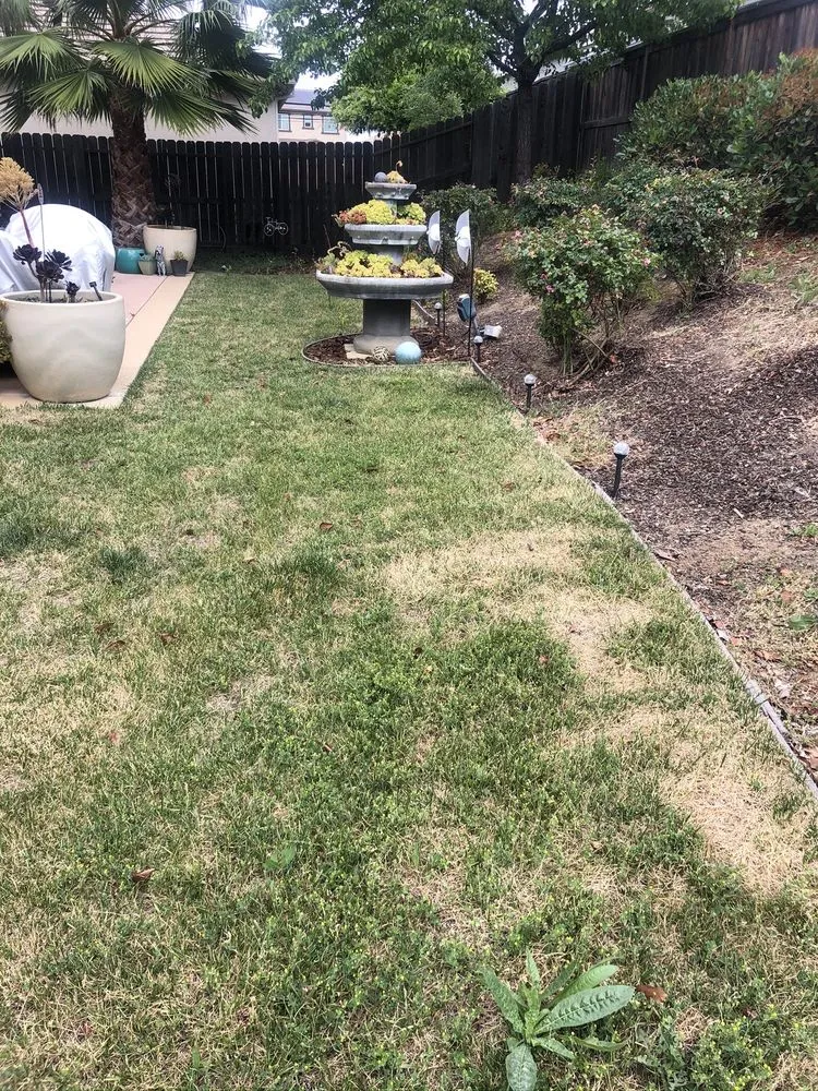 Custom landscape installation experts serving West Sacramento, CA - JD Landscaping Services