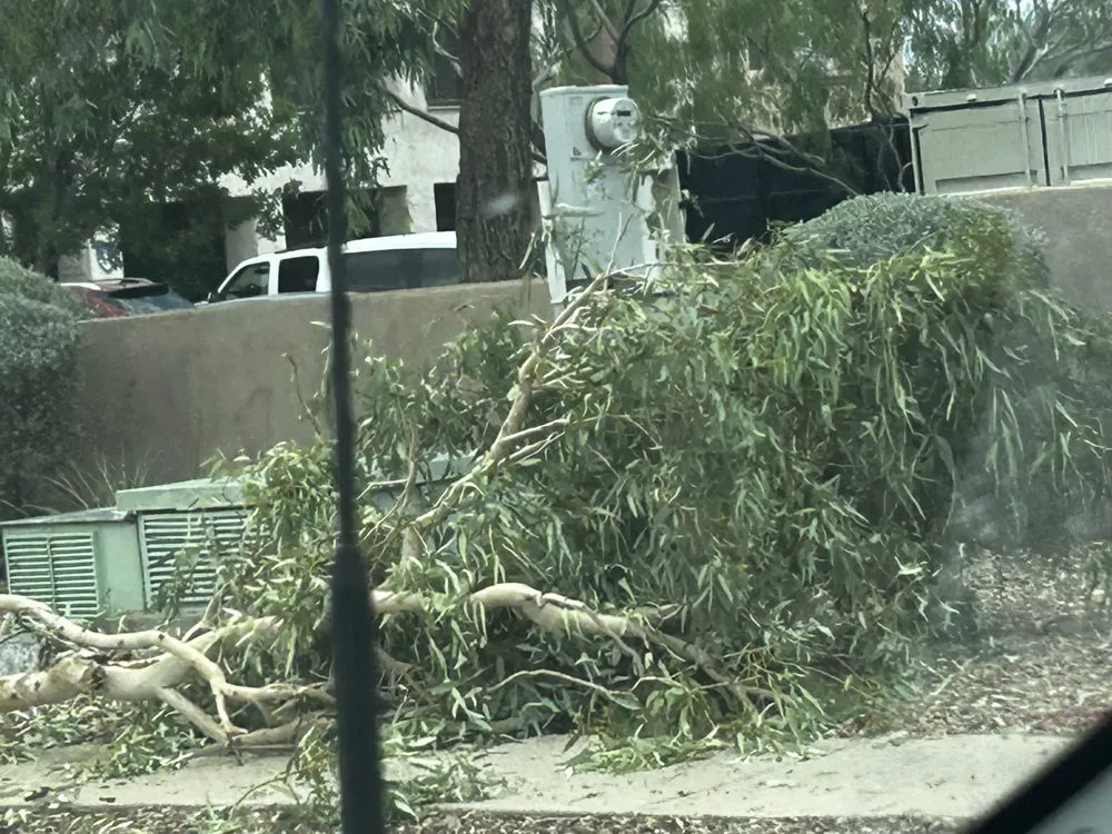 Trusted yard maintenance for beautiful yards in Tucson, AZ by JD Landscaping/Tree Services