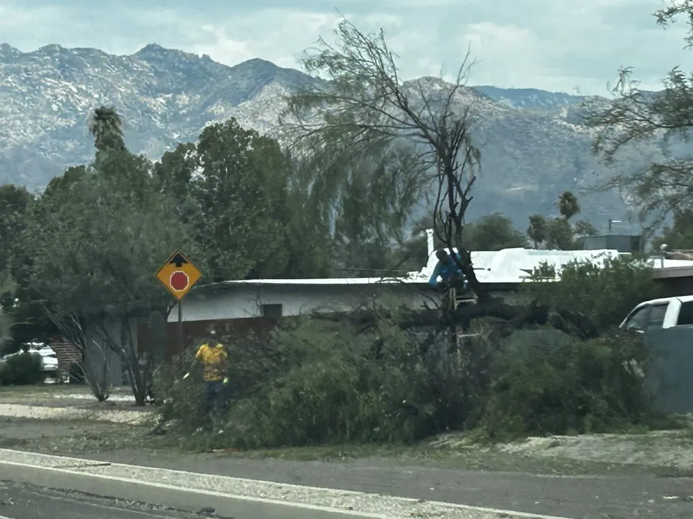 Professional lawn mowing service for outdoor upgrades across Tucson, AZ - JD Landscaping/Tree Services