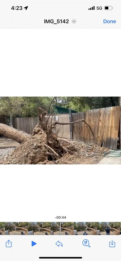 Affordable lawn care service in Tucson, AZ - JD Landscaping/Tree Services