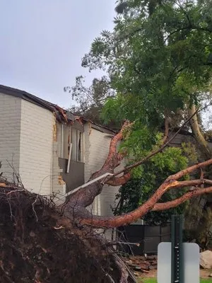 JD Landscaping/Tree Services Logo