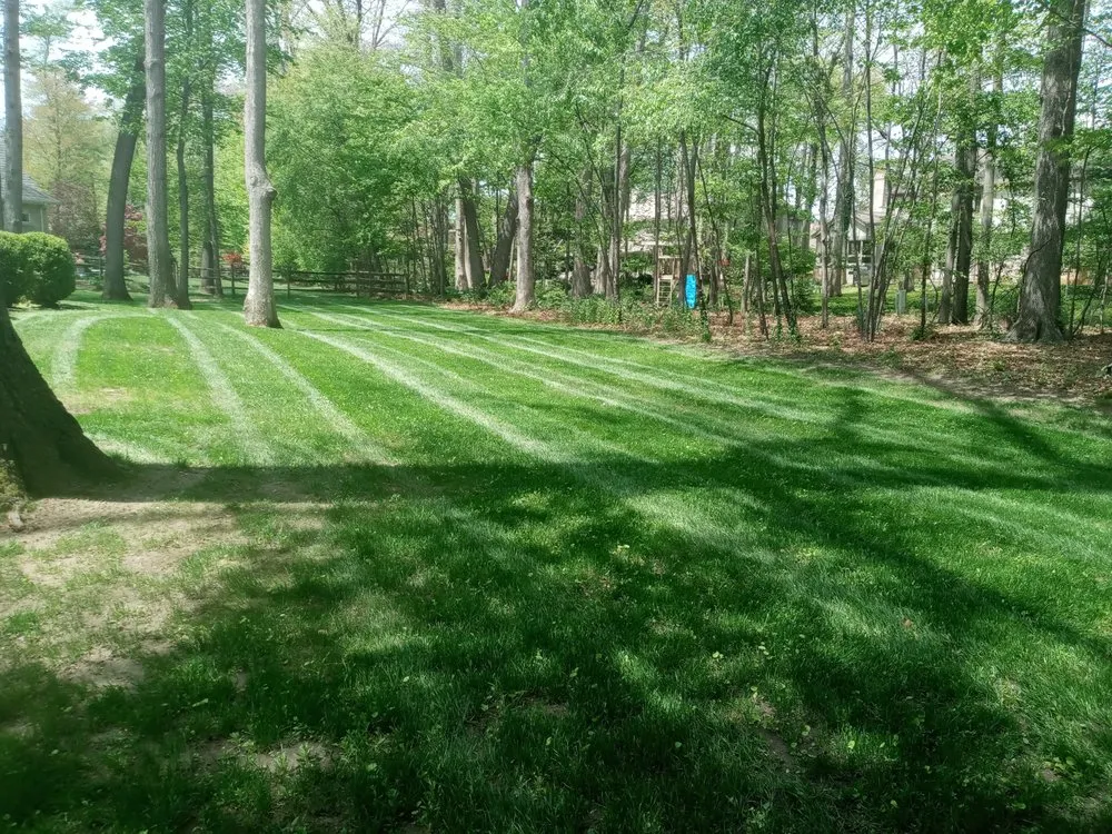 Local lawn mowing service for beautiful yards in Holland, OH by JD Lawn & Landscape