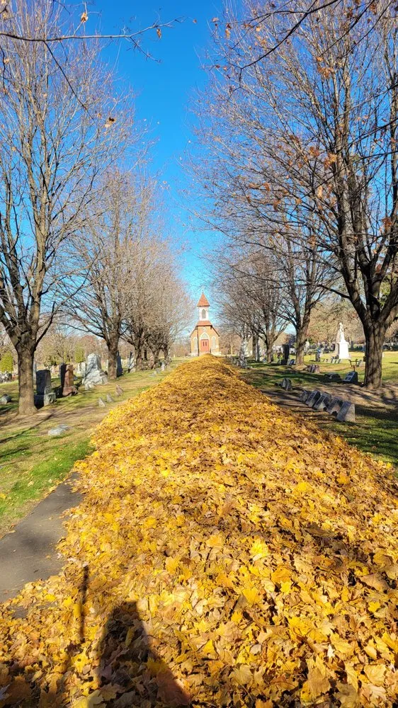 Reliable outdoor landscaping with custom design in Mondovi, WI by JD Lawn Care LLC