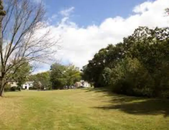 Custom landscaping services experts serving Newhall, WV - J&D Lawn Care