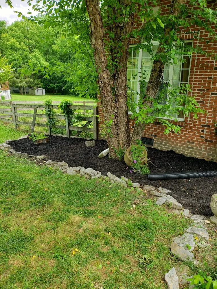Expert yard maintenance for residential properties across Shelbyville, TN - JD Lawn Care Plus