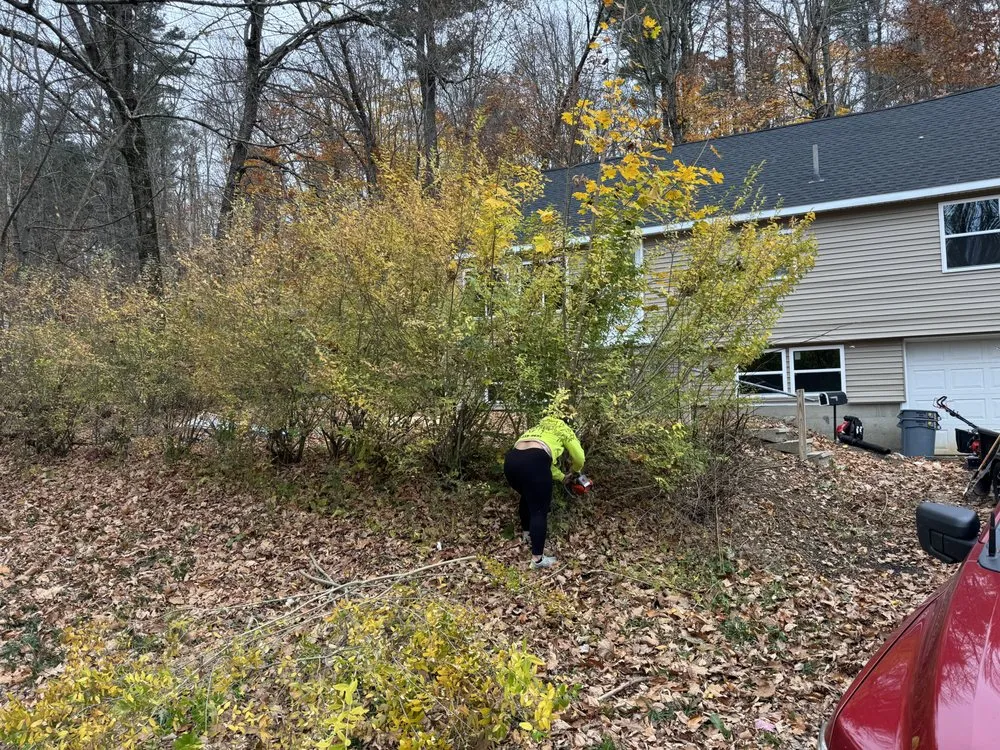 Local lawn care service in Westbrook, ME by JD Lawn Care