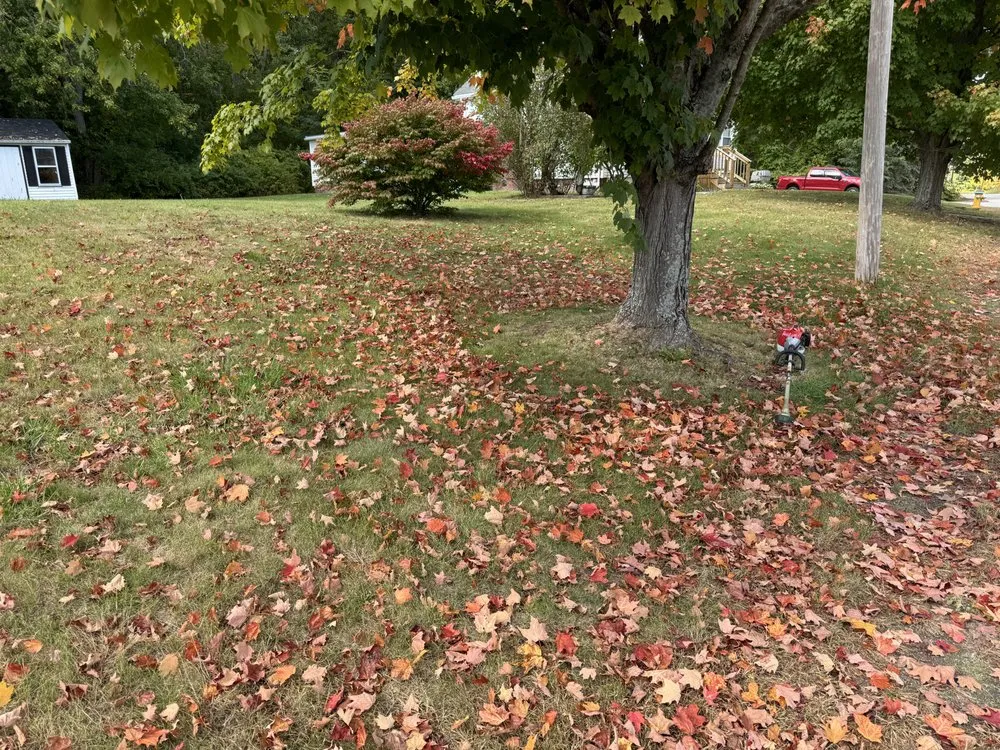 Local landscape installation with custom design across Westbrook, ME - JD Lawn Care