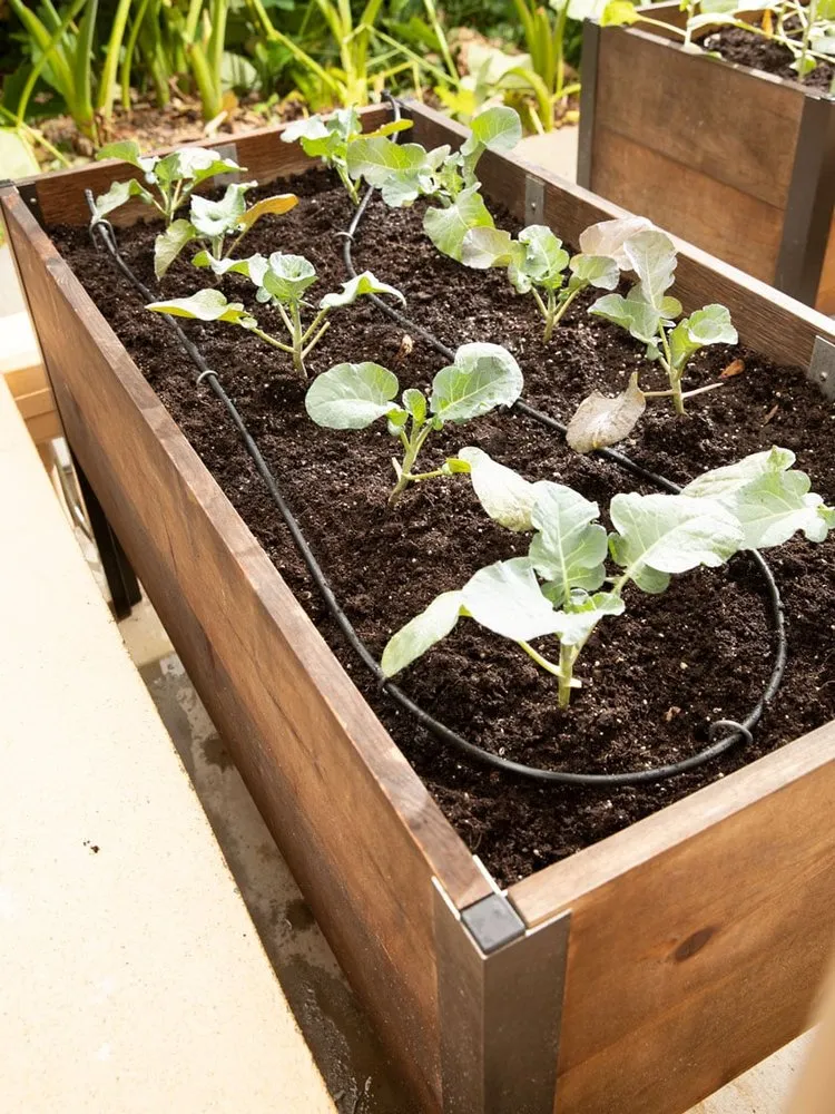 Custom residential landscaping in North Plainfield, NJ by J&D Lawn Lights & Sprinklers Services