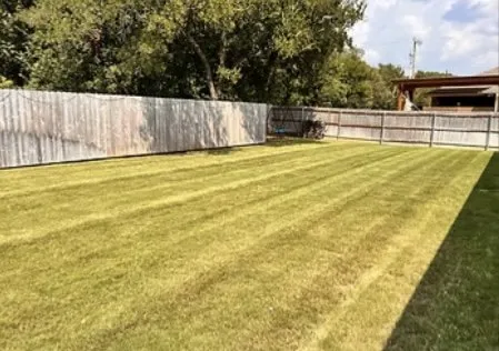 Reliable yard maintenance for residential properties across Belton, TX - Jd Lawn Mow Services