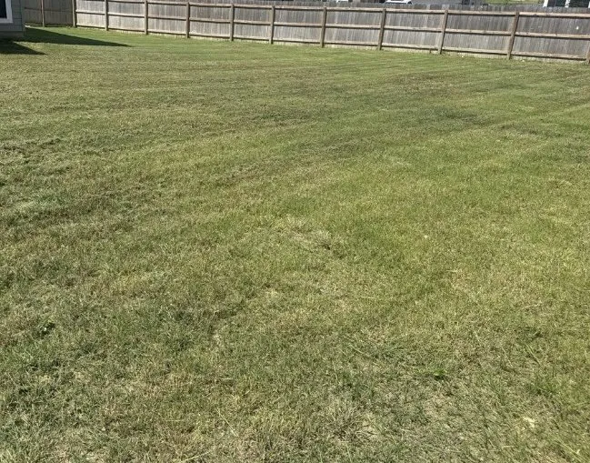 Top-rated lawn care service in Belton, TX by Jd Lawn Mow Services