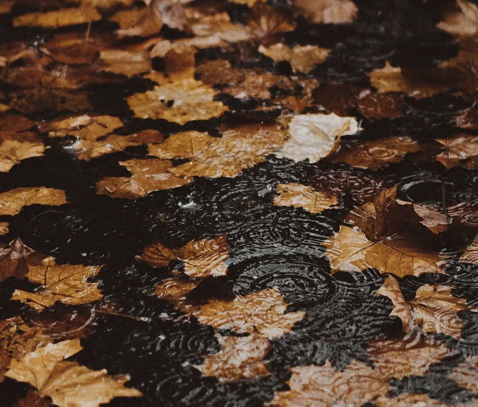 Affordable outdoor landscaping for homes across Manassas, VA - JD Lawn Services