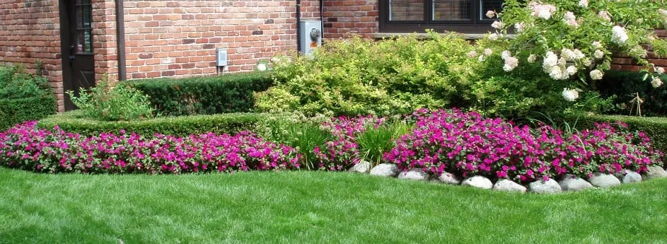Reliable yard cleanup service experts serving Manassas, VA - JD Lawn Services