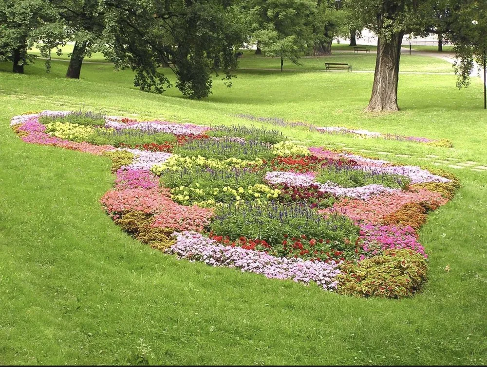 Local yard maintenance in Manassas, VA by JD Lawn Services