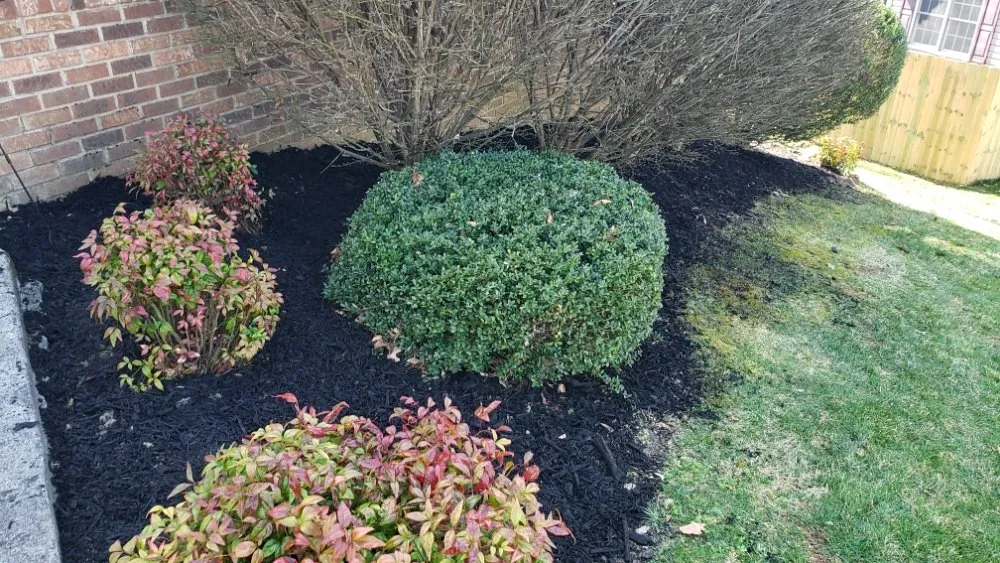 Custom lawn care service in Johnson City, TN by J&D Lawncare