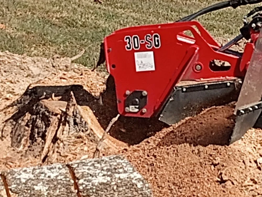 Trusted lawn care service in Hollister, MO - J&d Little Bit of Everything