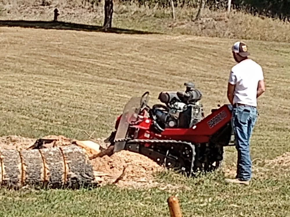 Professional lawn care service in Hollister, MO - J&d Little Bit of Everything