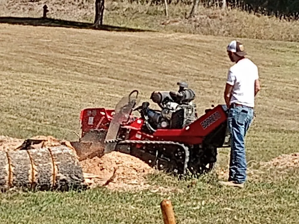 Top-rated landscaping services for beautiful yards in Hollister, MO by J&d Little Bit of Everything