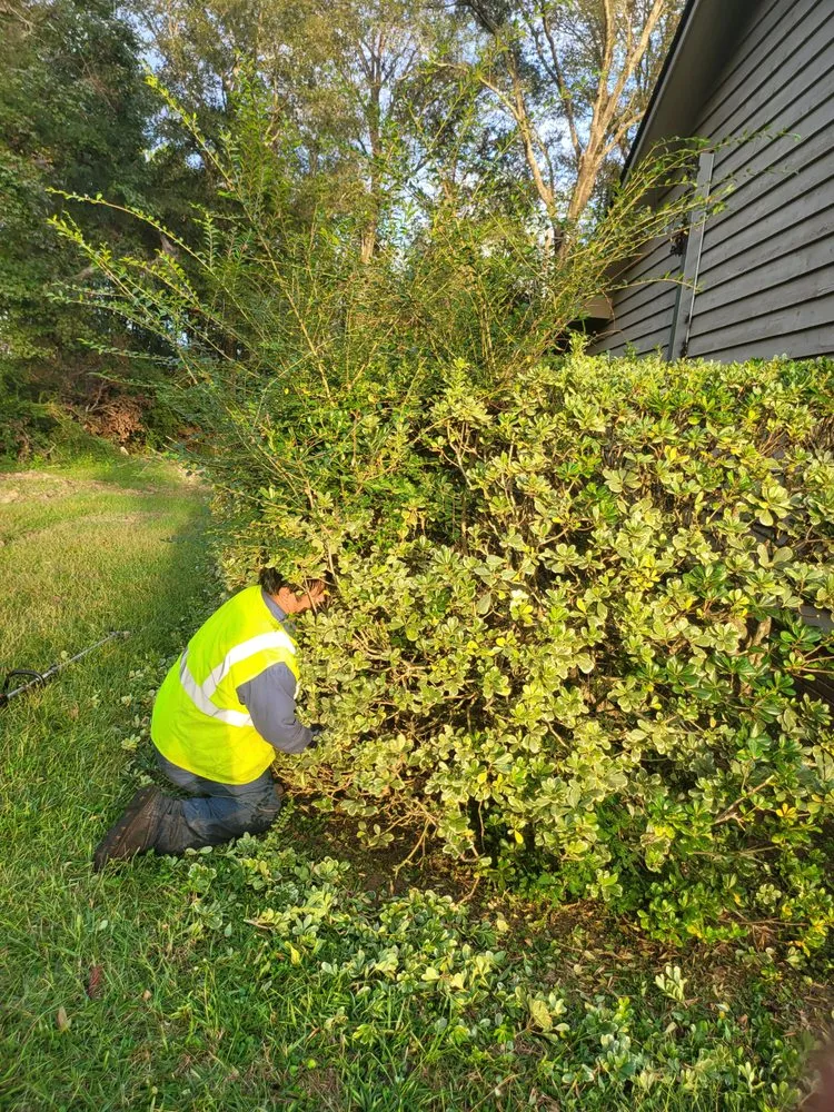 Expert landscaping services experts serving Hazlehurst, GA - J&D Lopez Lawn & Landscaping Services