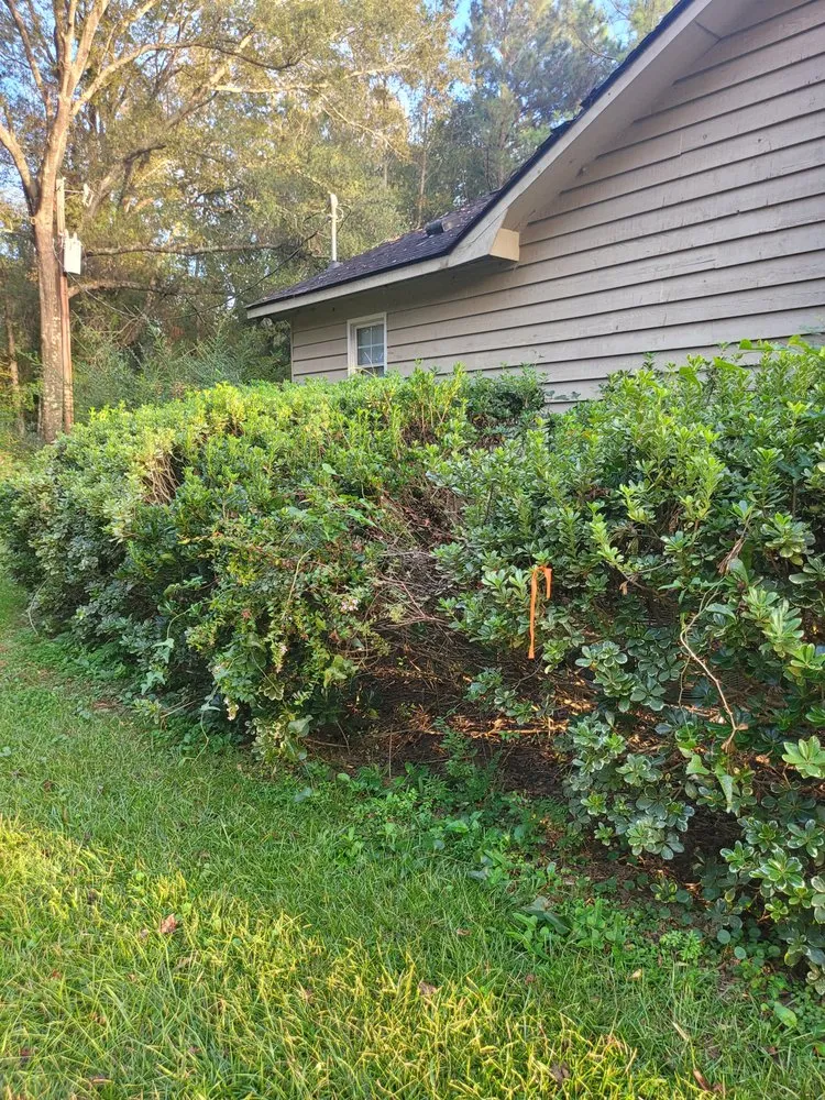 Custom landscaping services experts serving Hazlehurst, GA - J&D Lopez Lawn & Landscaping Services