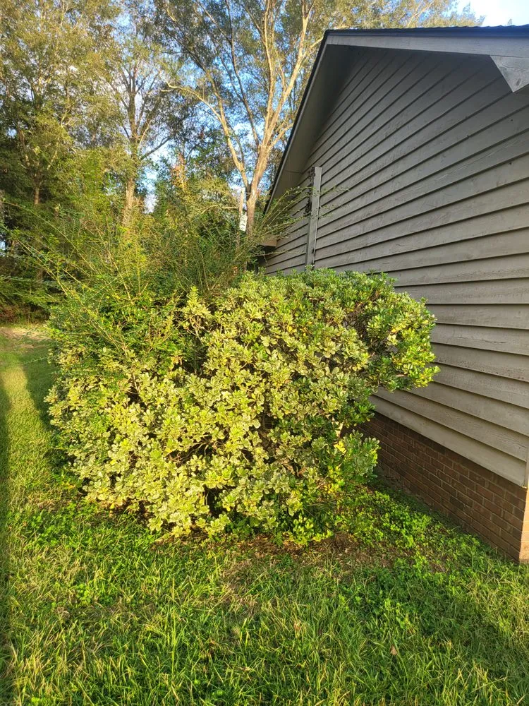 Trusted landscape design for beautiful yards in Hazlehurst, GA by J&D Lopez Lawn & Landscaping Services