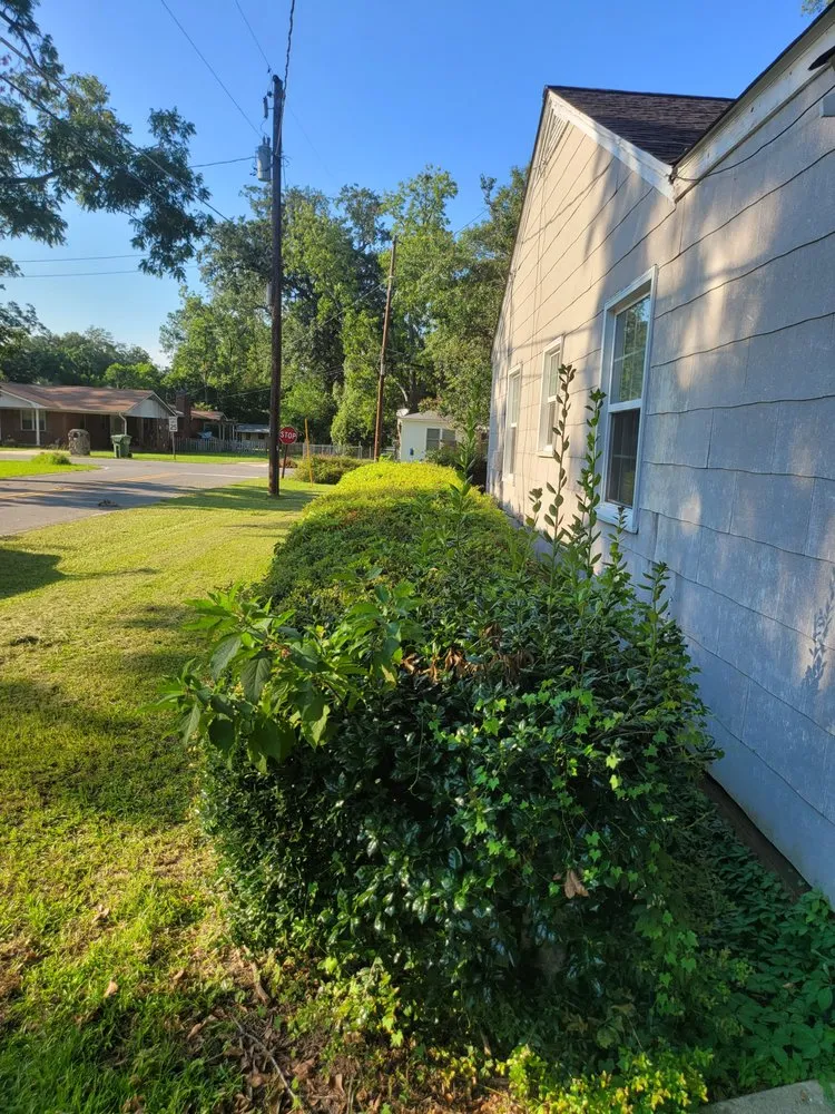 Professional landscaping services in Hazlehurst, GA - J&D Lopez Lawn & Landscaping Services