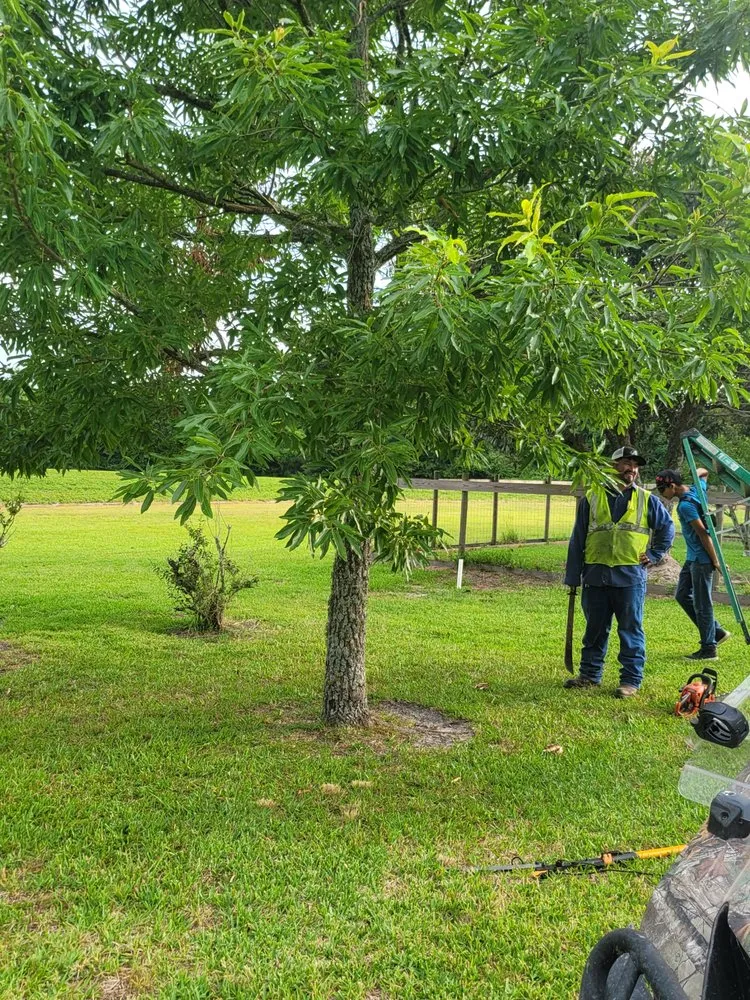 Trusted lawn mowing service with custom design across Hazlehurst, GA - J&D Lopez Lawn & Landscaping Services