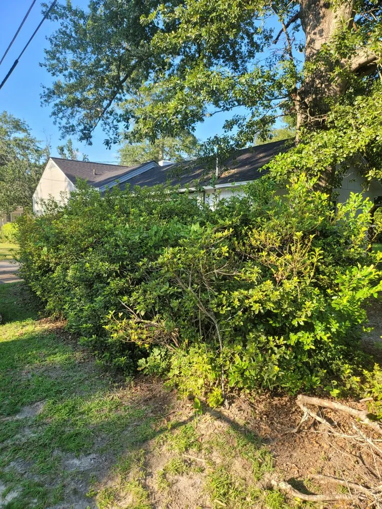 Affordable yard cleanup service experts serving Hazlehurst, GA - J&D Lopez Lawn & Landscaping Services