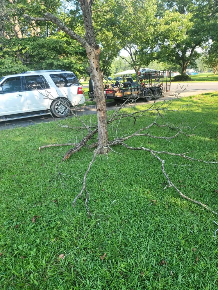 Trusted residential landscaping in Hazlehurst, GA - J&D Lopez Lawn & Landscaping Services