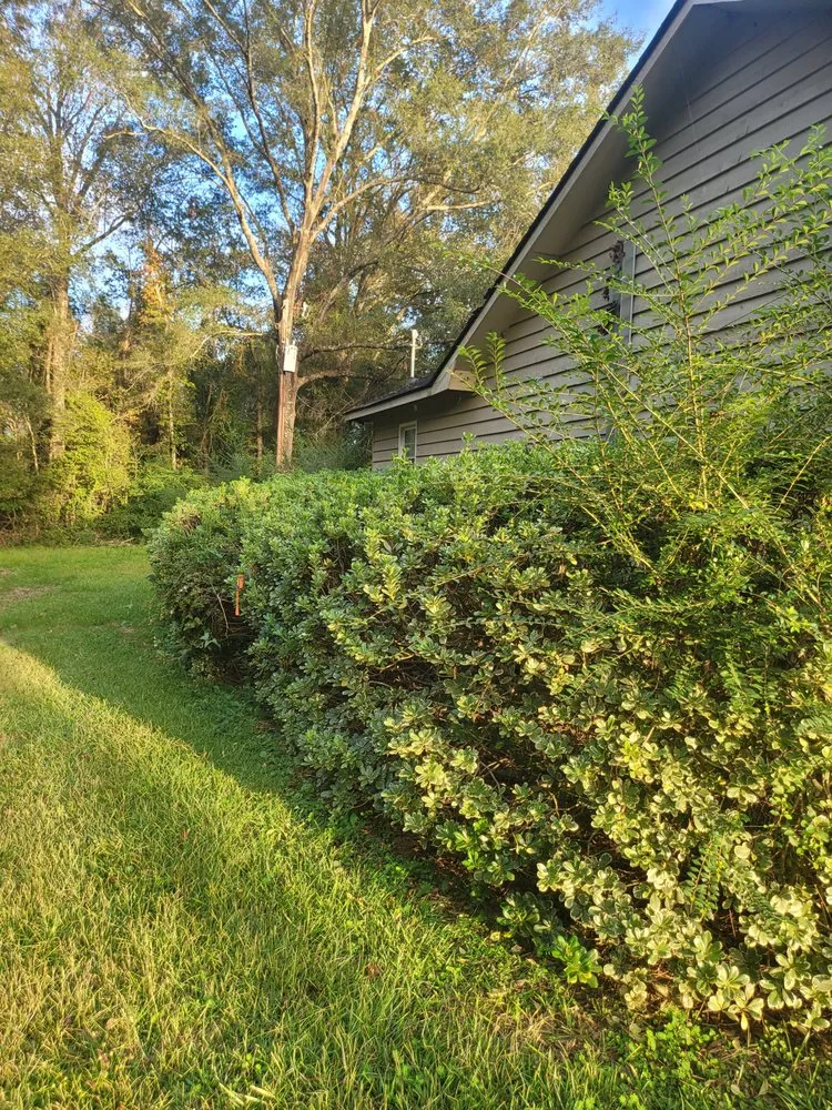 Custom landscaping services for outdoor upgrades in Hazlehurst, GA by J&D Lopez Lawn & Landscaping Services