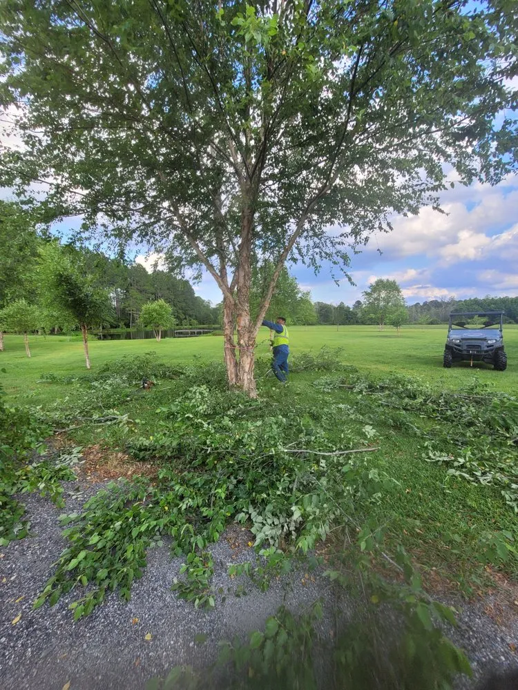 Affordable outdoor landscaping in Hazlehurst, GA by J&D Lopez Lawn & Landscaping Services