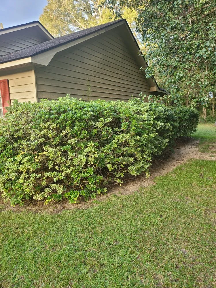 Trusted outdoor landscaping in Hazlehurst, GA - J&D Lopez Lawn & Landscaping Services
