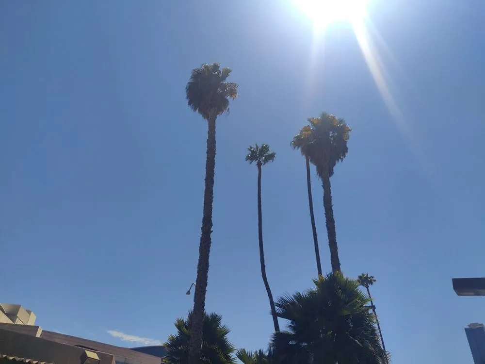 Top-rated residential landscaping for residential properties across Perris, CA - JD Maintenance & Landscaping