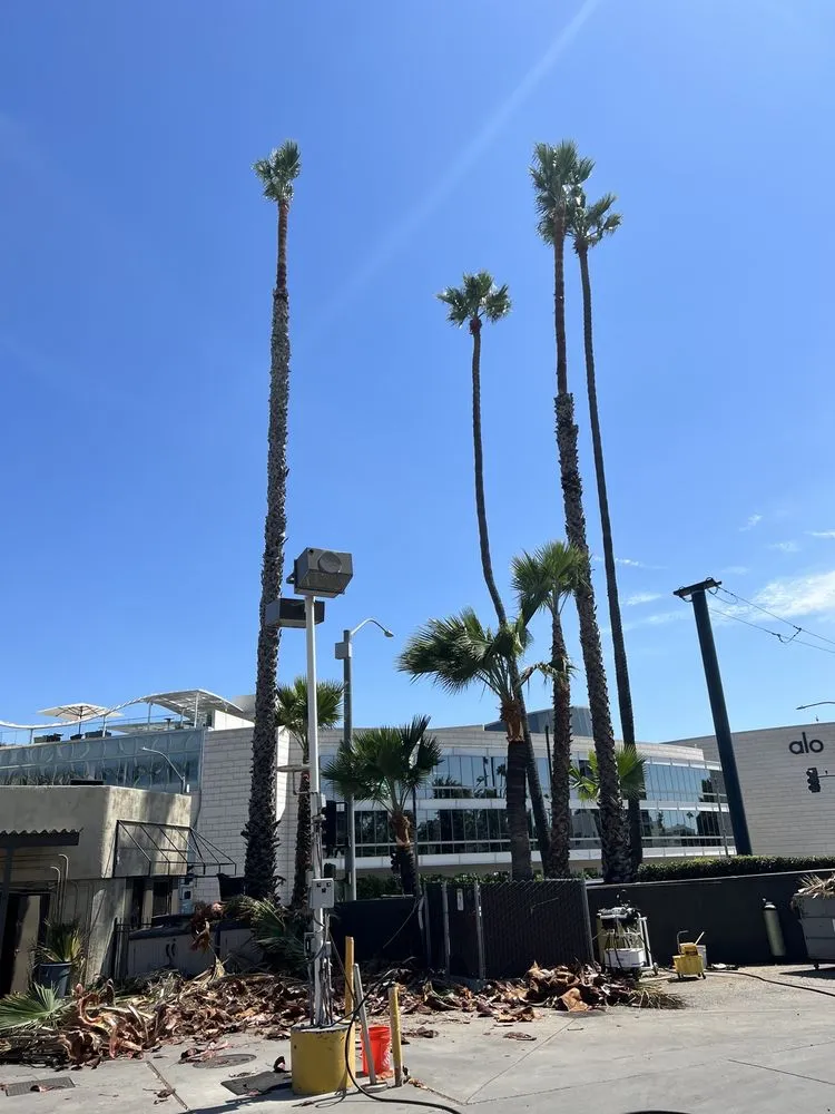 Affordable residential landscaping for year-round maintenance in Perris, CA by JD Maintenance & Landscaping