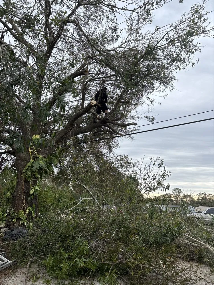 Professional landscaping services in Ruskin, FL - JD Masonry & More