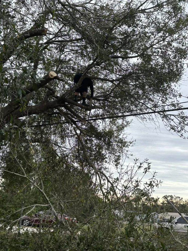 Trusted lawn mowing service in Ruskin, FL by JD Masonry & More