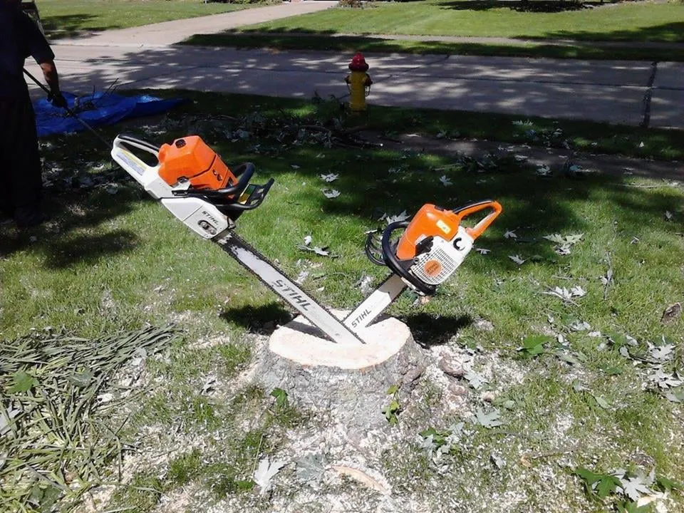 Professional lawn mowing service near you in Madison, OH by JD Orion Tree Service