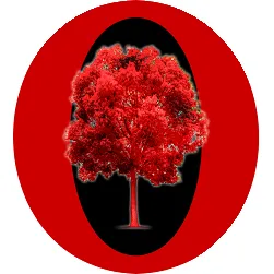 JD Orion Tree Service