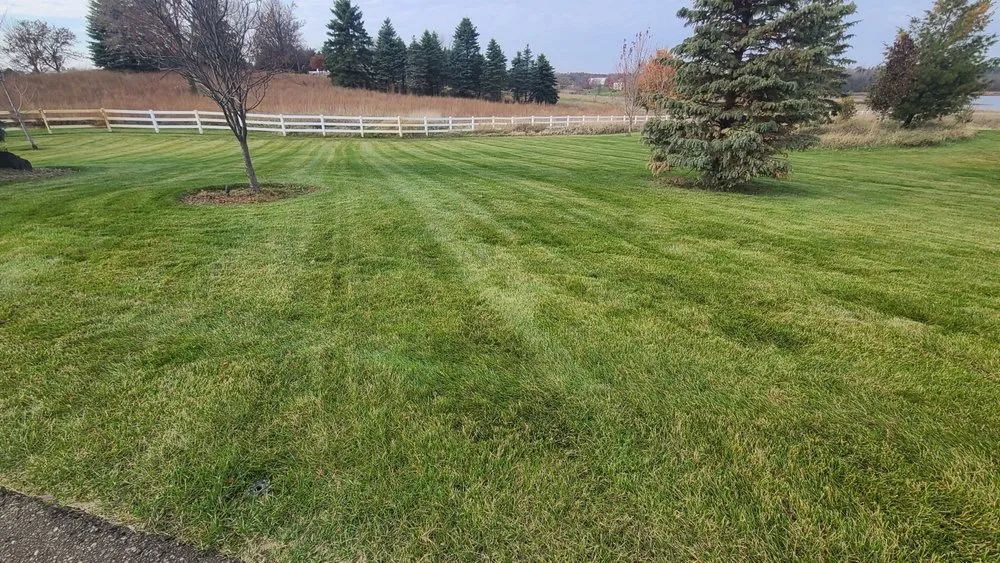 Professional yard maintenance experts serving Monticello, MN - JD Outdoor Services