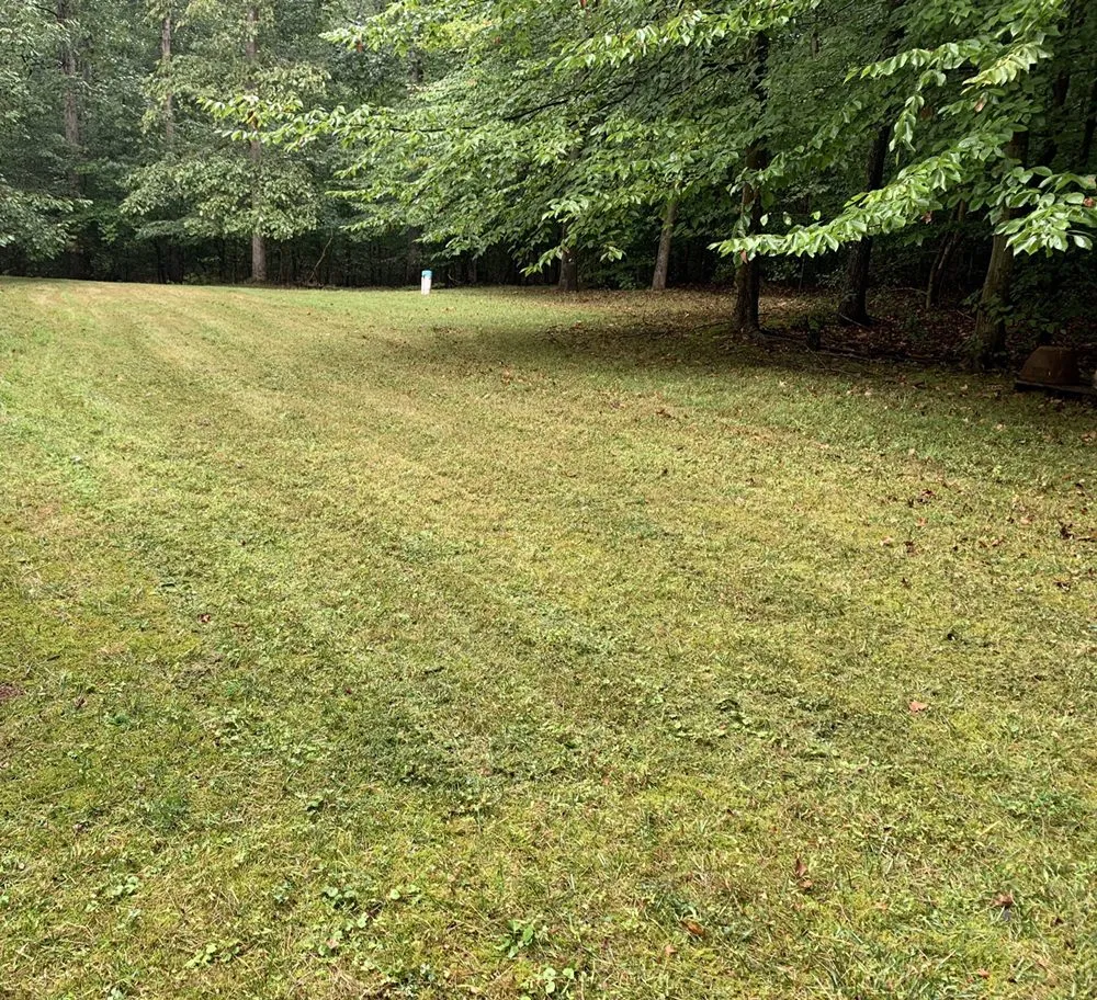 Affordable landscaping services for homes across Annapolis, MD - J&D Power washing and Landscaping