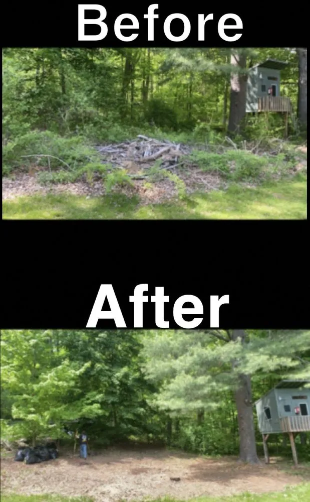 Professional landscaping services in Palmer, MA - J&D Precision Wash & Fence