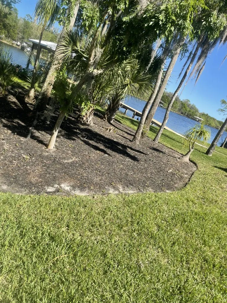 Professional lawn care service in Ormond Beach, FL by JD Service
