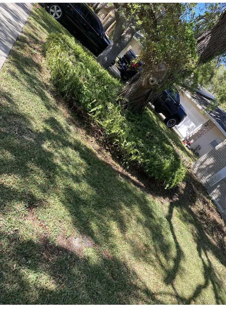 Trusted yard maintenance in Ormond Beach, FL by JD Service
