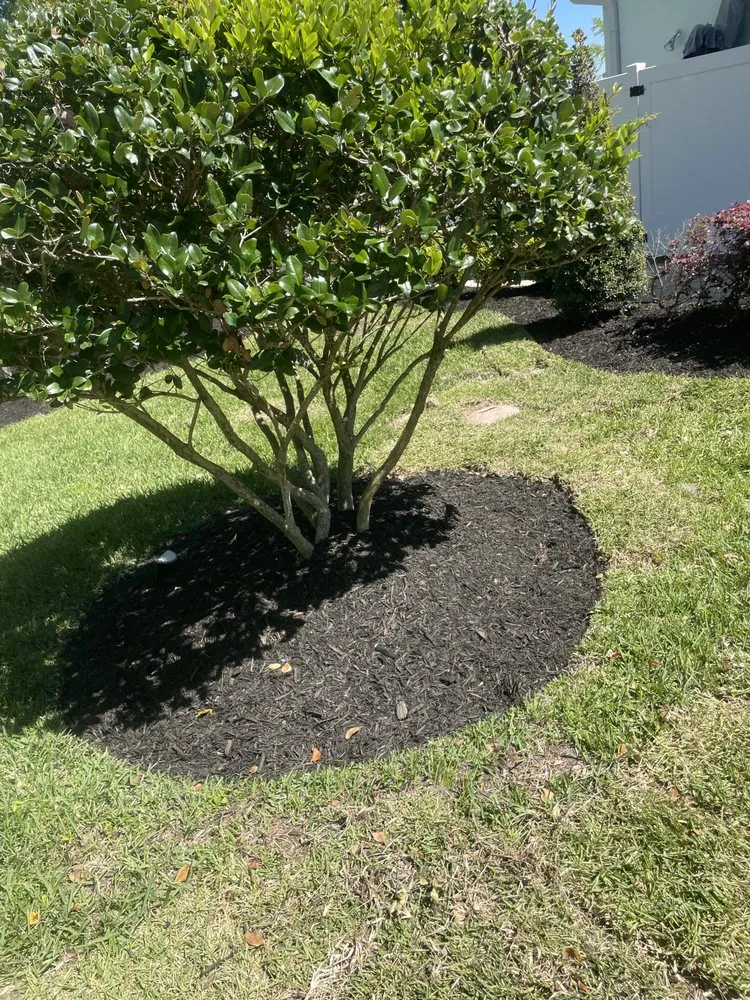 Trusted yard cleanup service in Ormond Beach, FL by JD Service