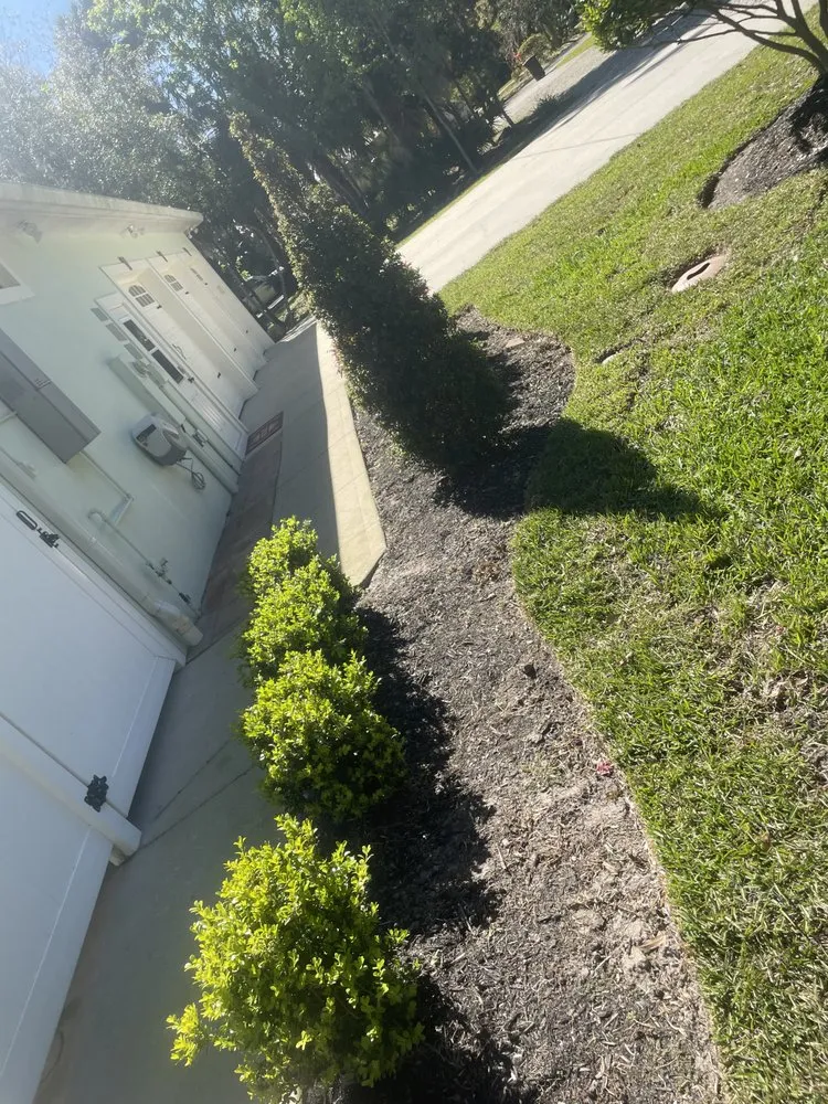 Custom landscaping services experts serving Ormond Beach, FL - JD Service